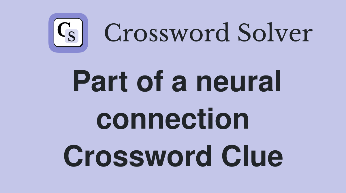 Part of a neural connection Crossword Clue