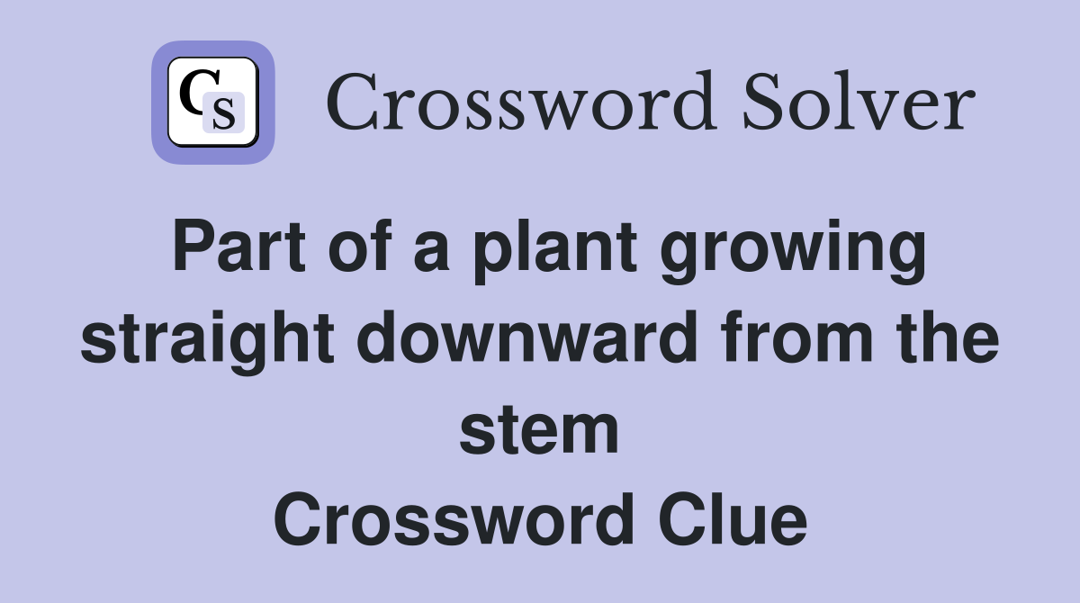 Part of a plant growing straight downward from the stem Crossword