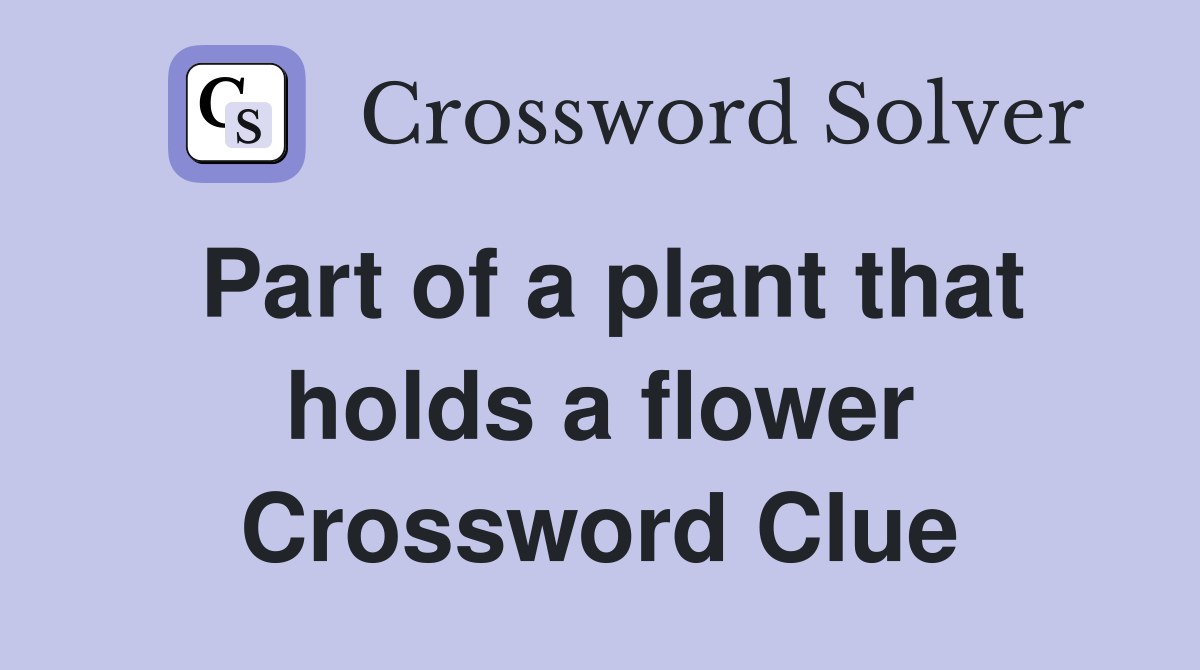 Part of a plant that holds a flower Crossword Clue