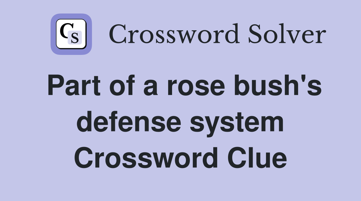 Part of a rose bush's defense system Crossword Clue