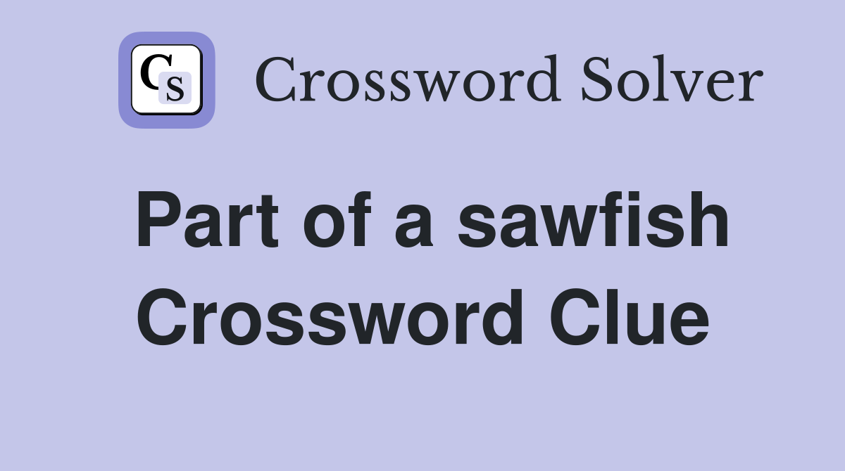 Part of a sawfish Crossword Clue