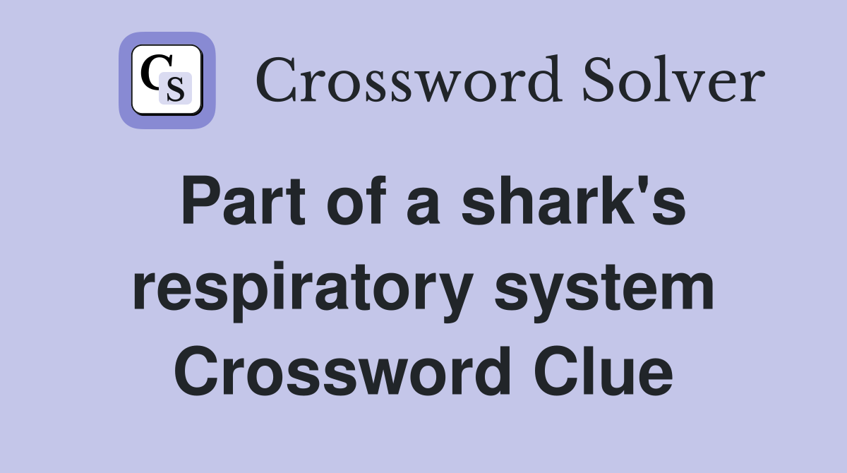 Part of a shark's respiratory system Crossword Clue