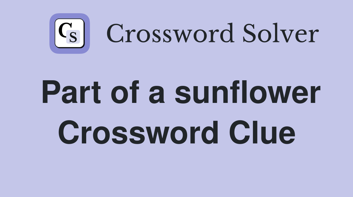 Part of a sunflower Crossword Clue