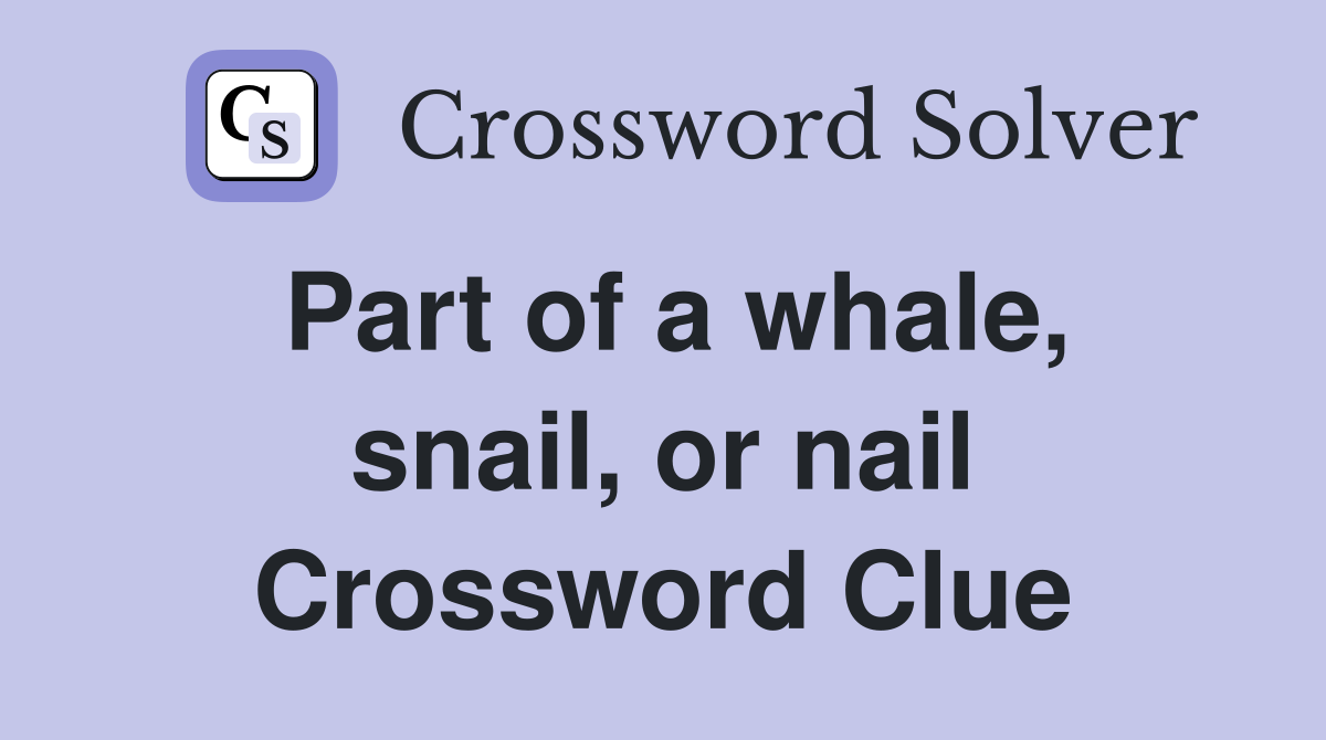 Part of a whale, snail, or nail Crossword Clue