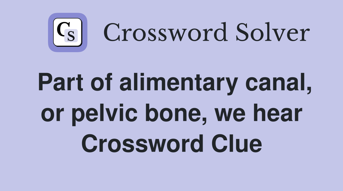 Part of alimentary canal, or pelvic bone, we hear Crossword Clue