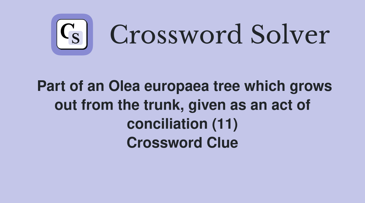 Part of an Olea europaea tree which grows out from the trunk, given as an act of conciliation (11) Crossword Clue
