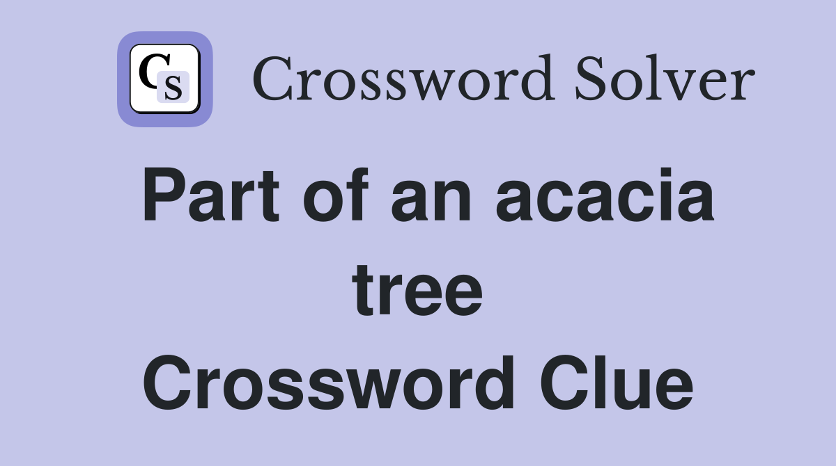 Part of an acacia tree Crossword Clue