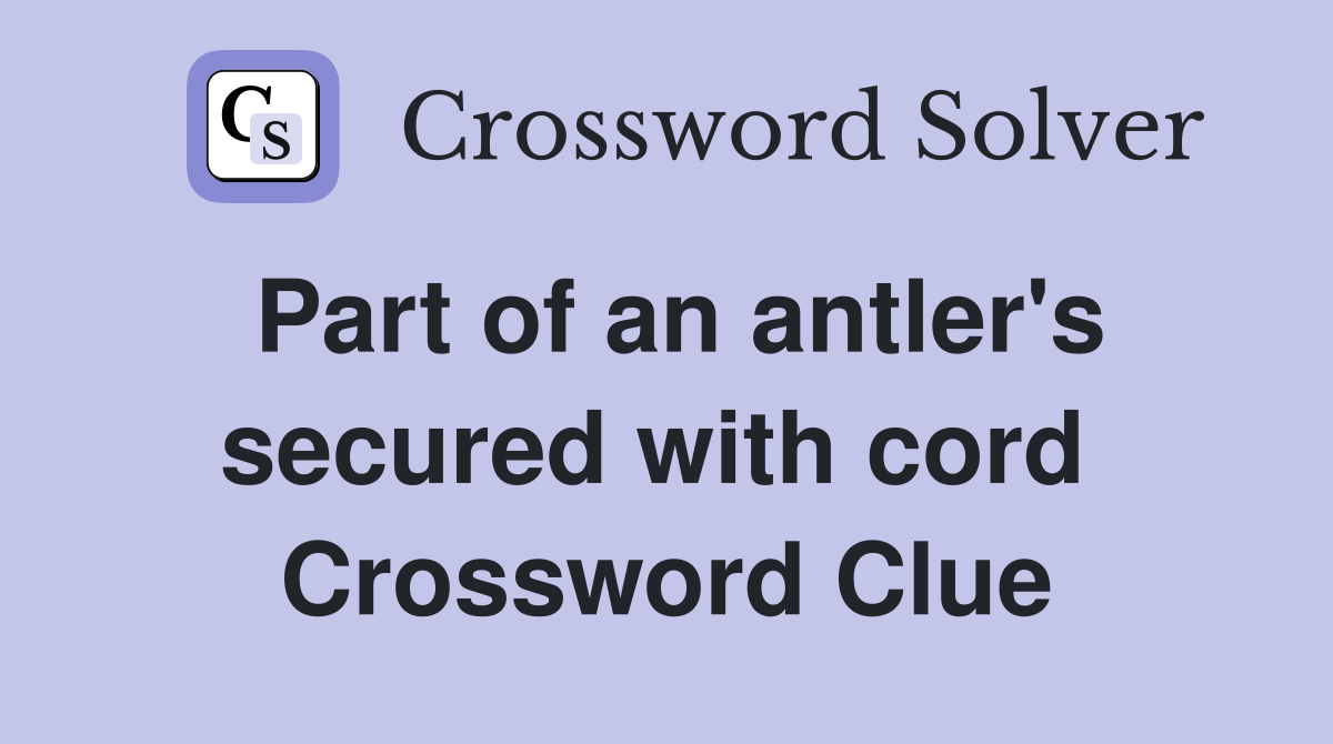 Part of an antler's secured with cord  Crossword Clue