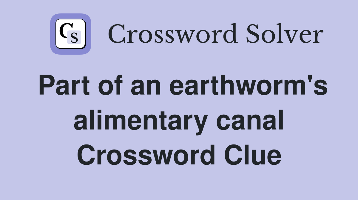 Part of an earthworm's alimentary canal Crossword Clue