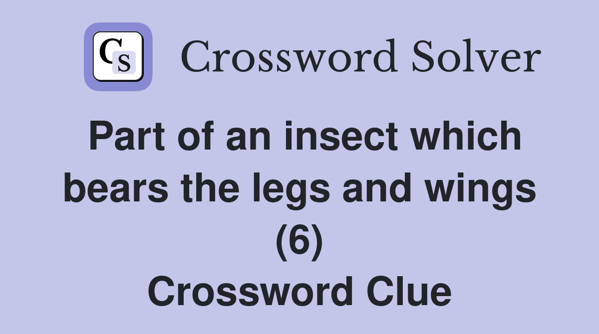 Part of an insect which bears the legs and wings (6) Crossword Clue