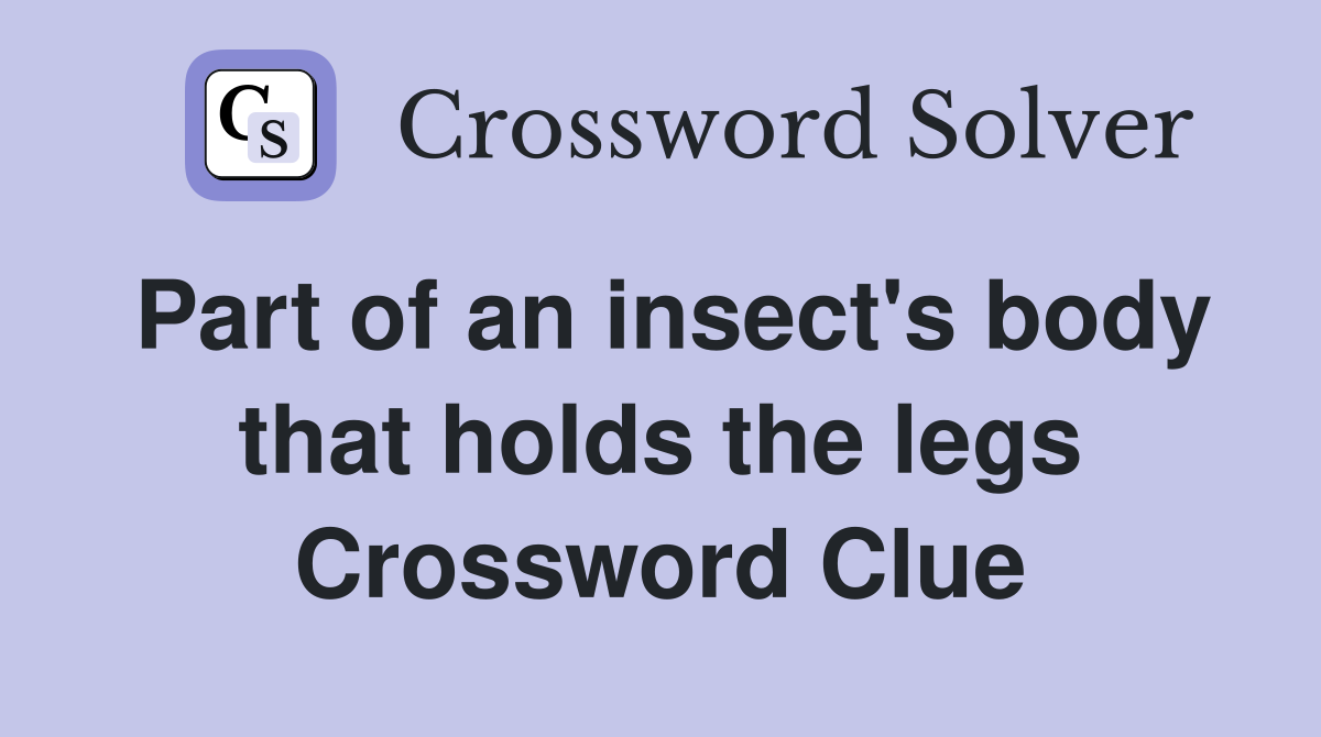 Part of an insect's body that holds the legs Crossword Clue