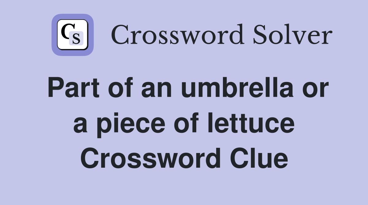 Part of an umbrella or a piece of lettuce Crossword Clue