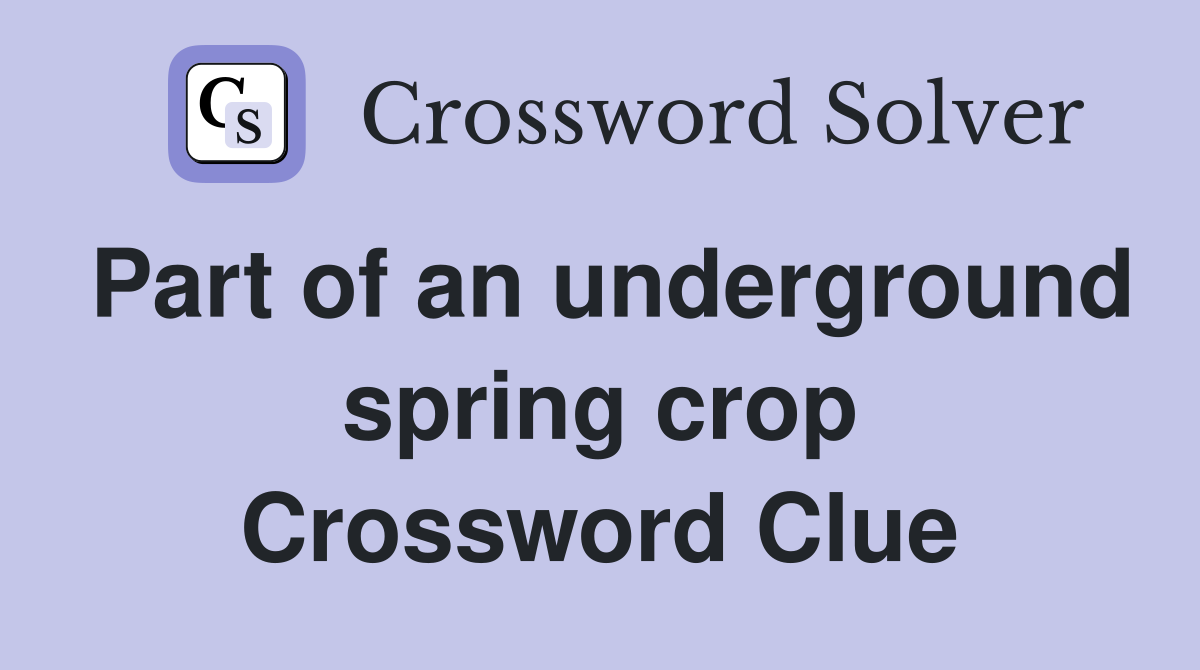 Part of an underground spring crop Crossword Clue