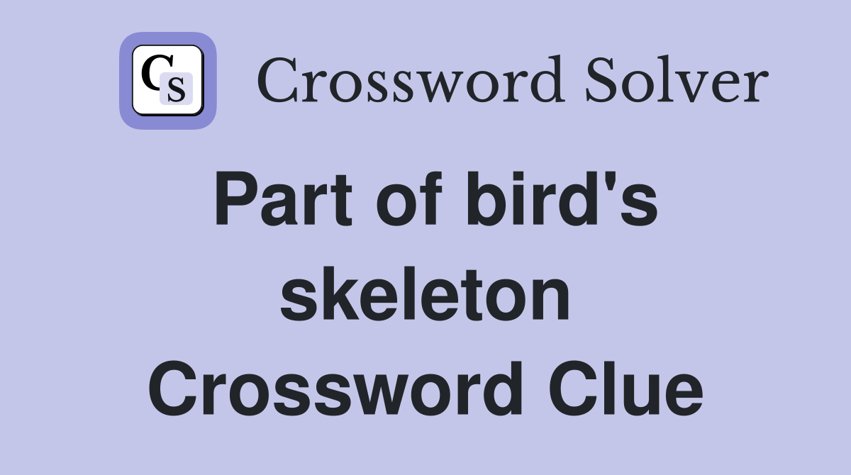 Part of bird's skeleton Crossword Clue