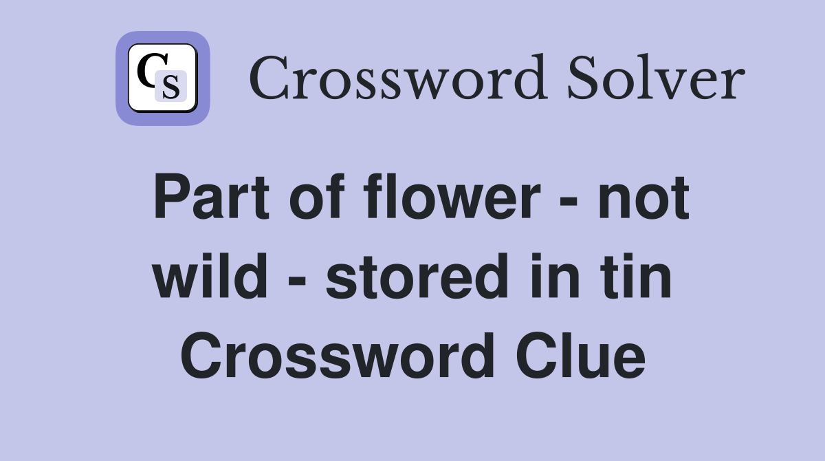 Part of flower - not wild - stored in tin Crossword Clue