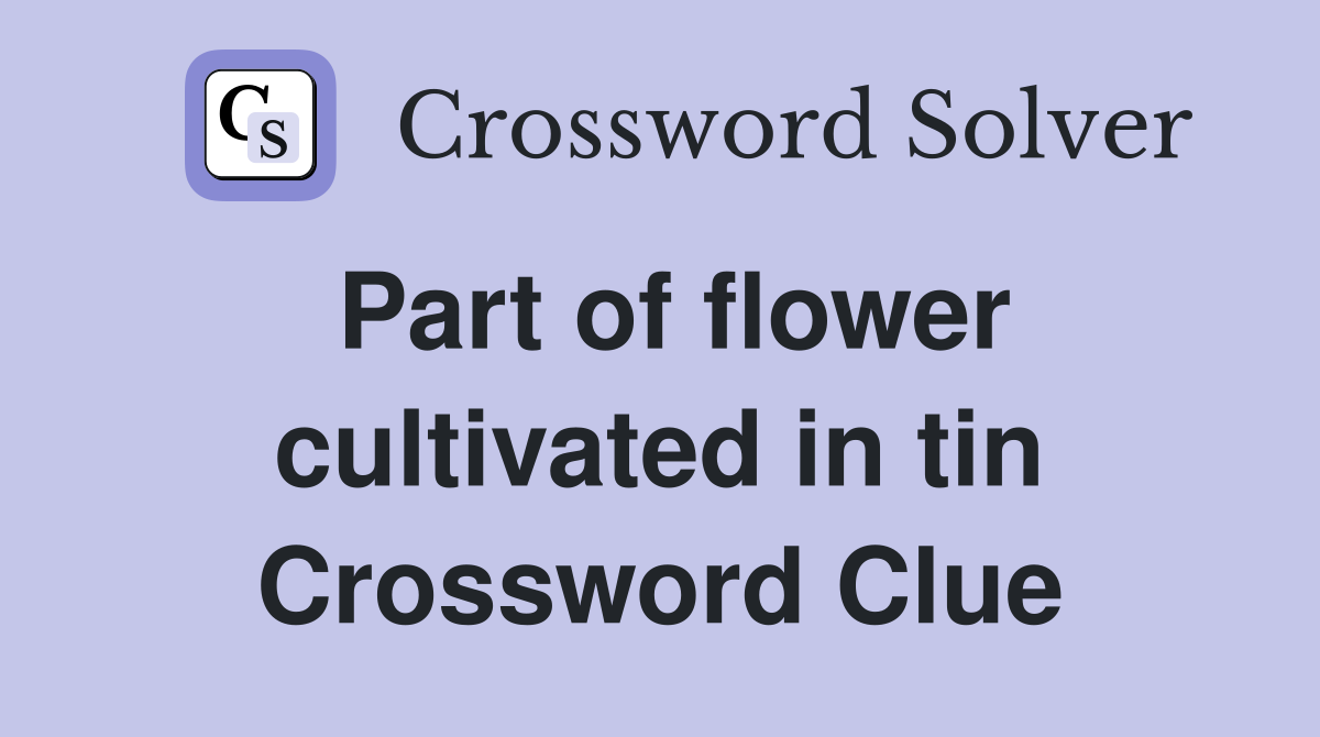 Part of flower cultivated in tin Crossword Clue