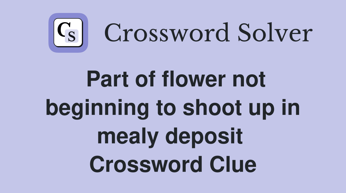 Part of flower not beginning to shoot up in mealy deposit  Crossword Clue