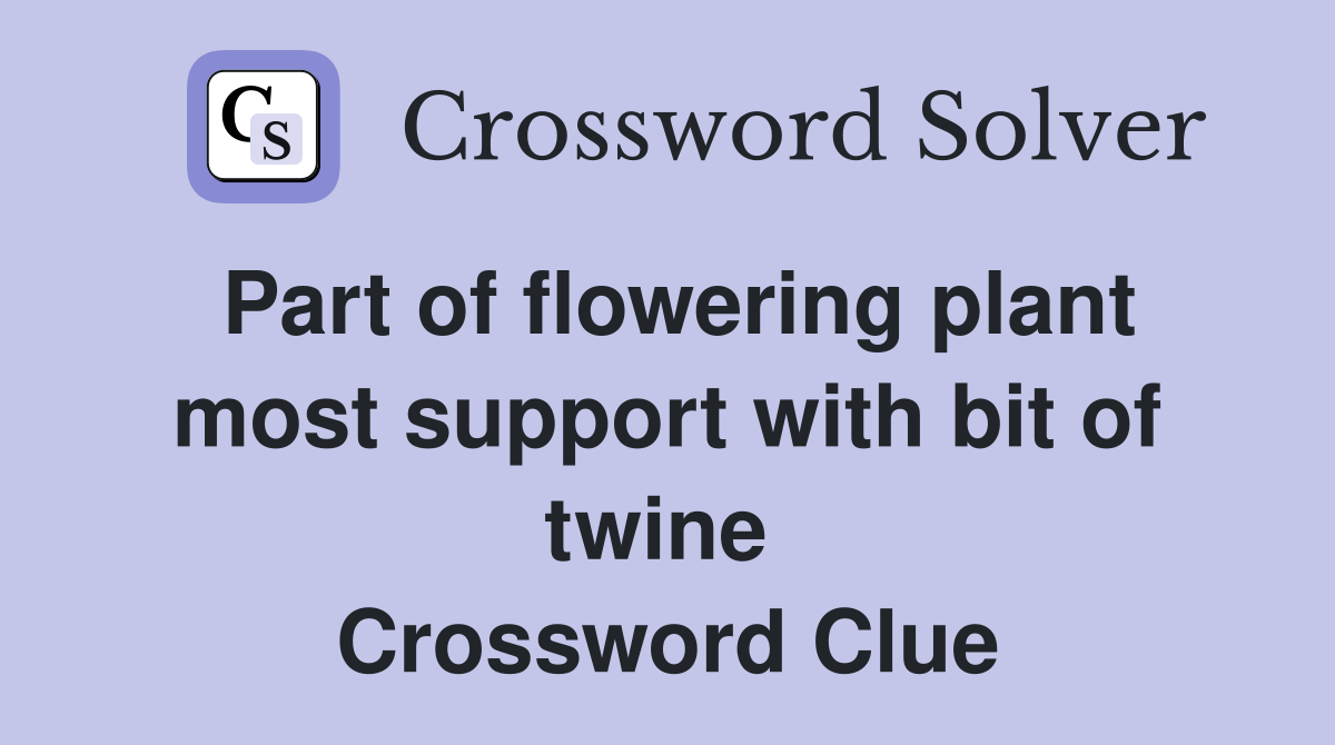 Part of flowering plant most support with bit of twine  Crossword Clue