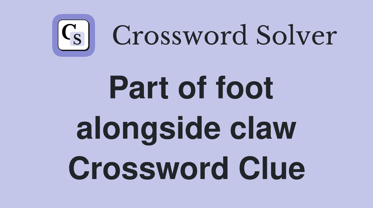 Part of foot alongside claw Crossword Clue