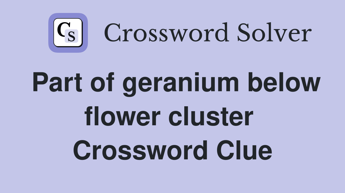 Part of geranium below flower cluster  Crossword Clue