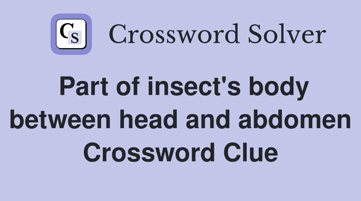 Part of insect's body between head and abdomen Crossword Clue