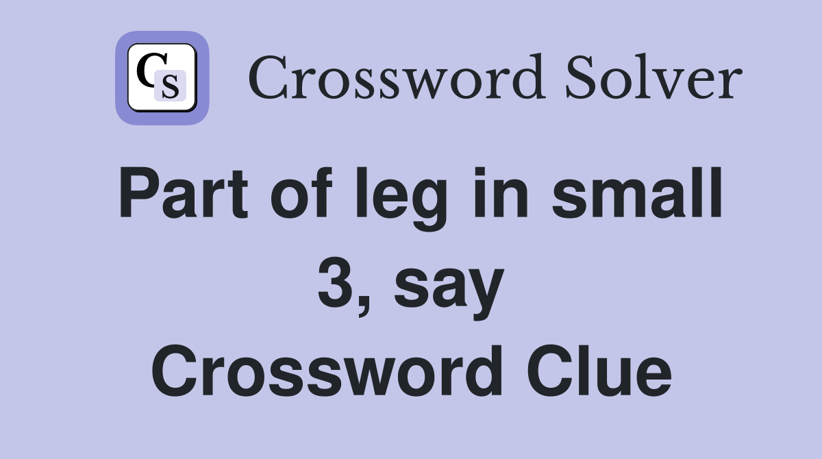 Part of leg in small 3, say Crossword Clue