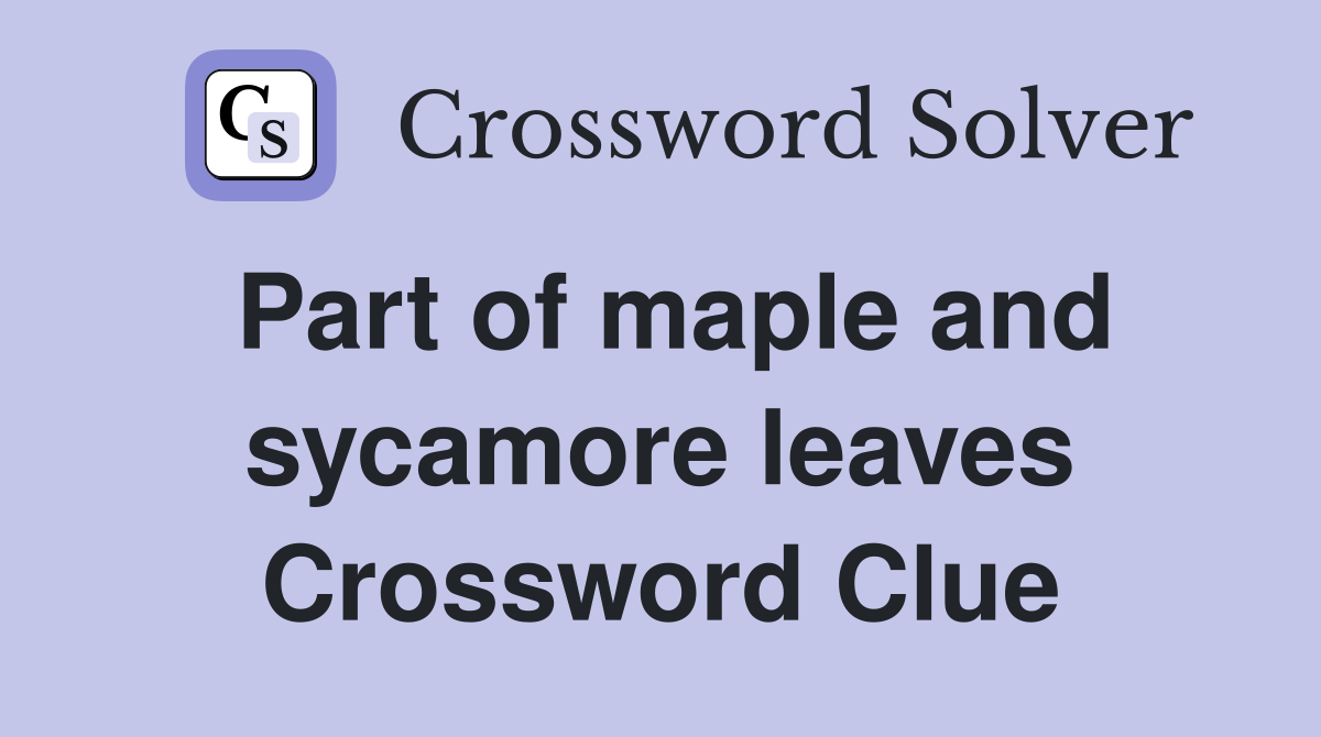 Part of maple and sycamore leaves Crossword Clue