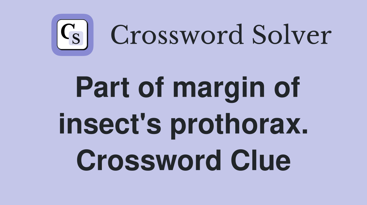 Part of margin of insect's prothorax. Crossword Clue