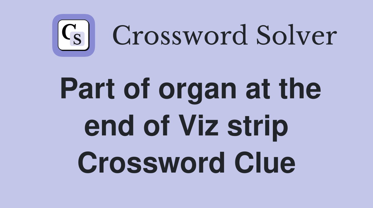 Part of organ at the end of Viz strip Crossword Clue