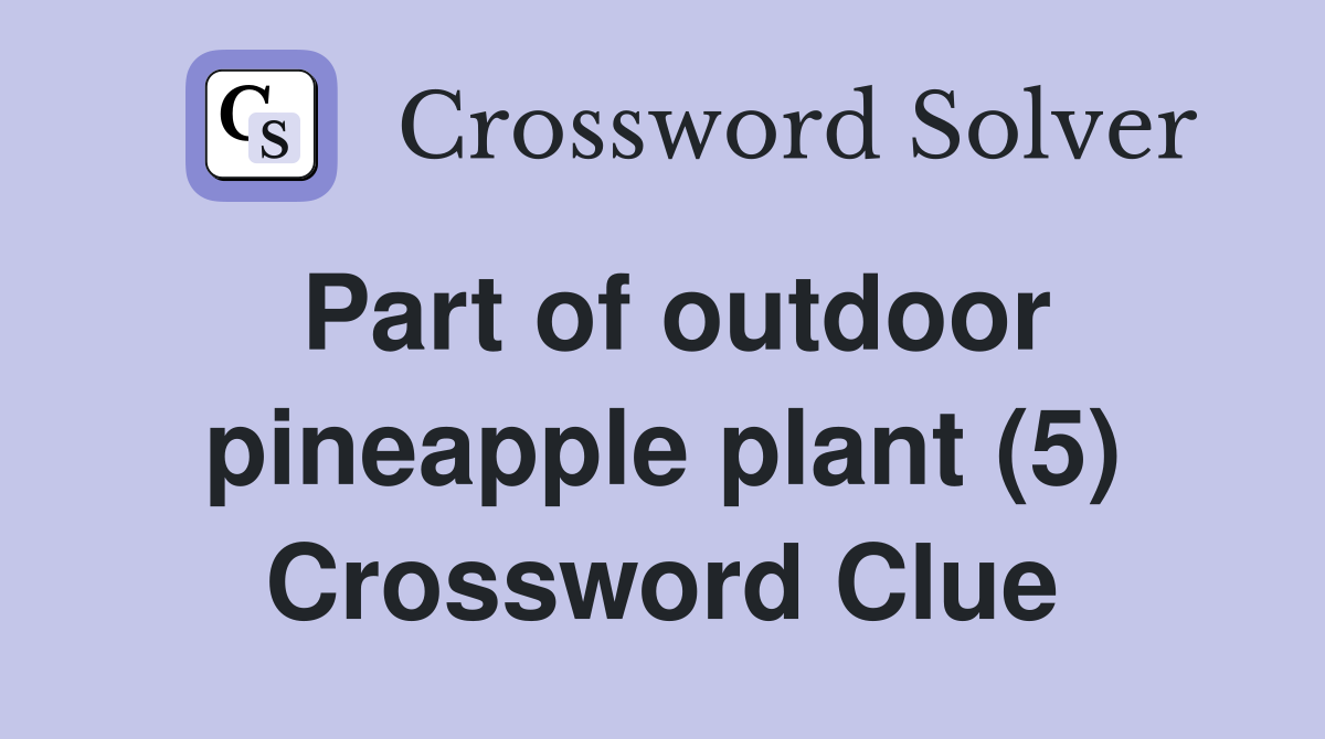 Part of outdoor pineapple plant (5) Crossword Clue
