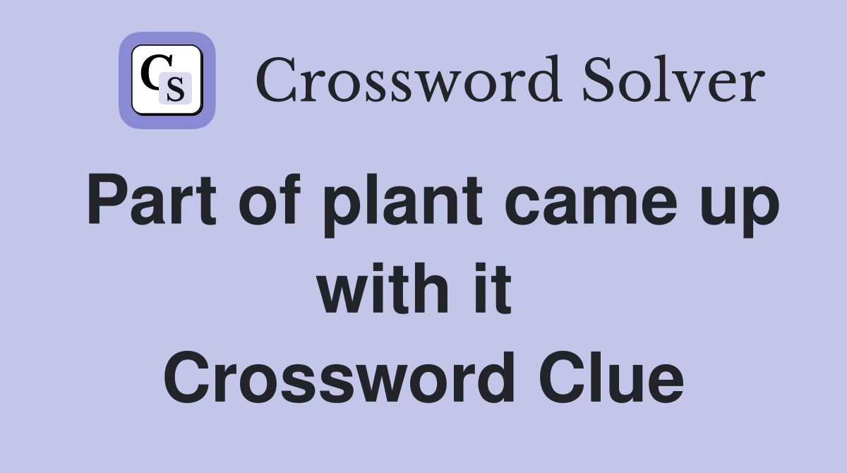 Part of plant came up with it  Crossword Clue