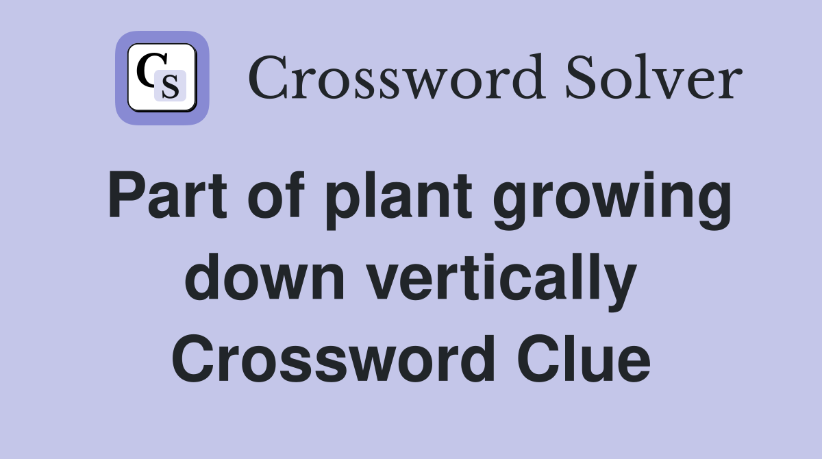 Part of plant growing down vertically Crossword Clue