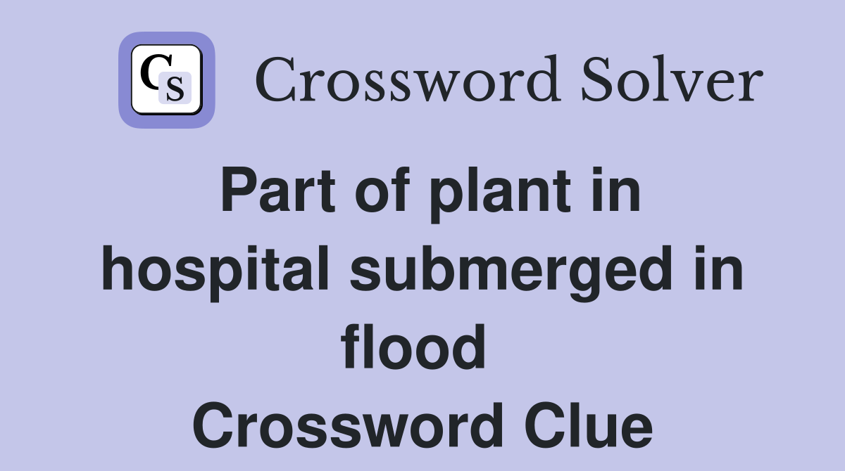 Part of plant in hospital submerged in flood  Crossword Clue