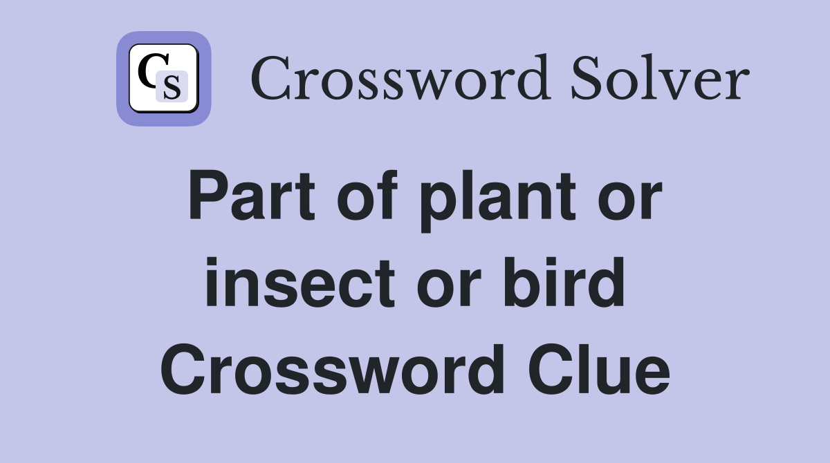 Part of plant or insect or bird Crossword Clue