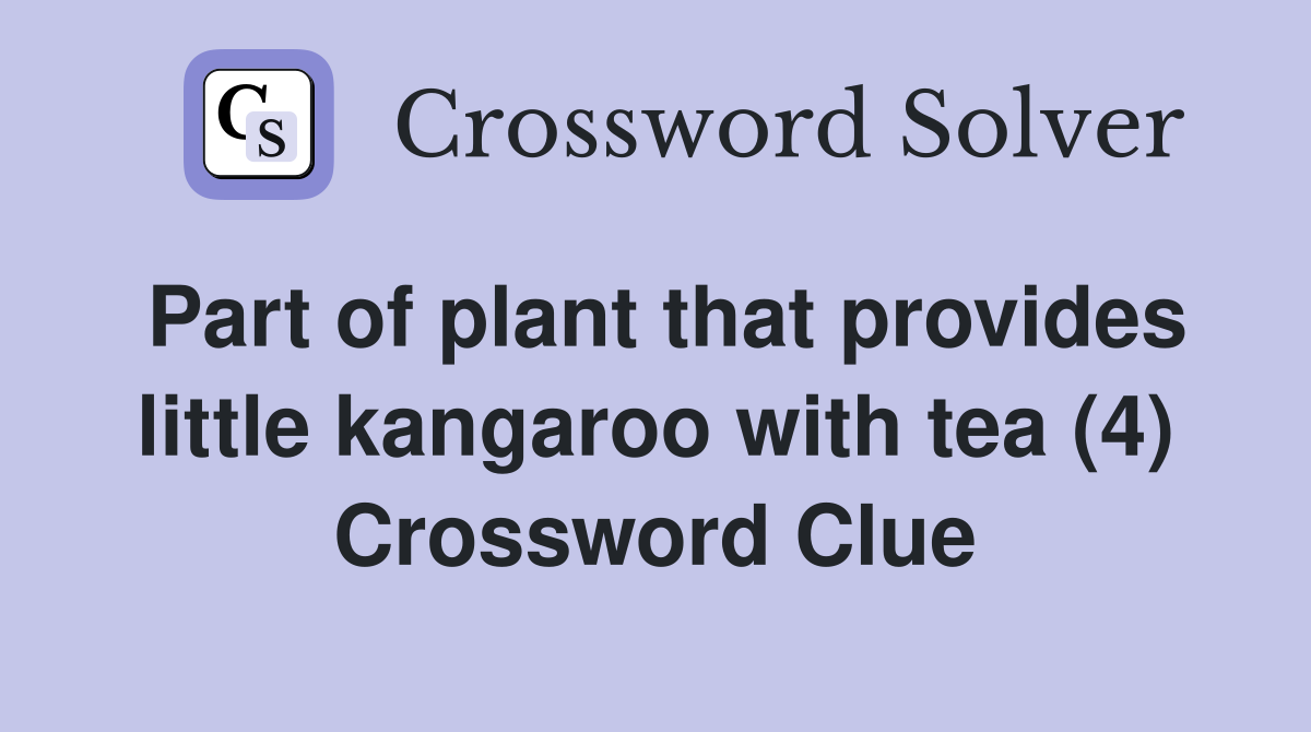 Part of plant that provides little kangaroo with tea (4) Crossword Clue
