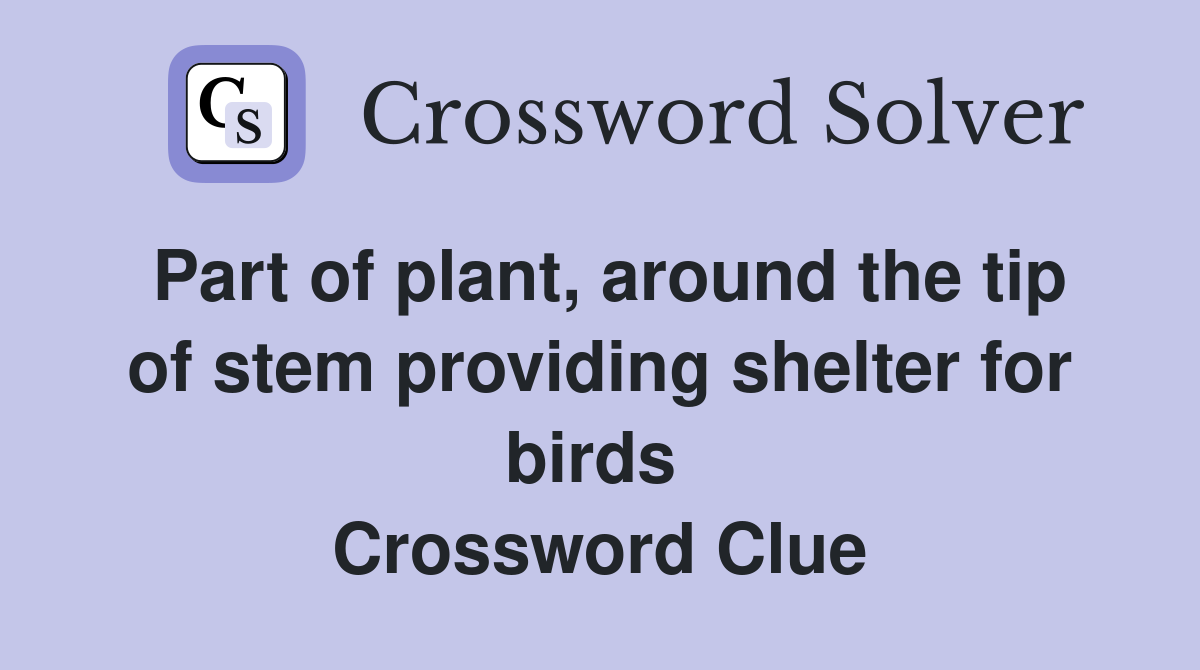 Part of plant, around the tip of stem providing shelter for birds  Crossword Clue