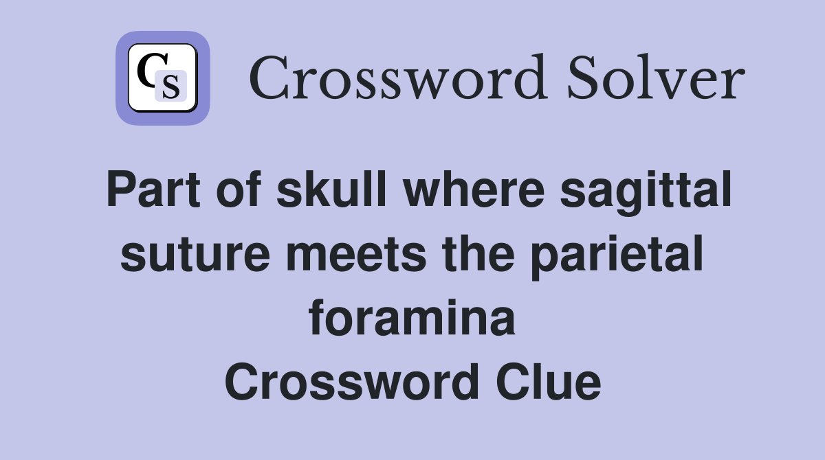Part of skull where sagittal suture meets the parietal foramina Crossword Clue