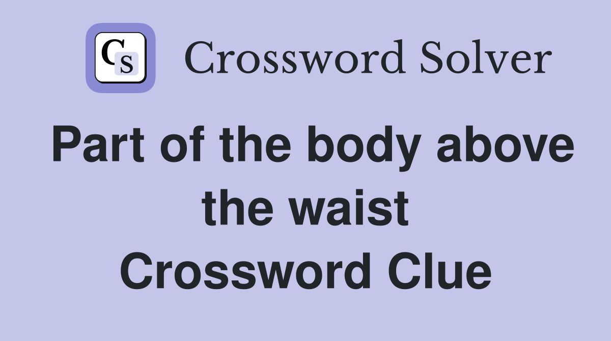 Part of the body above the waist Crossword Clue