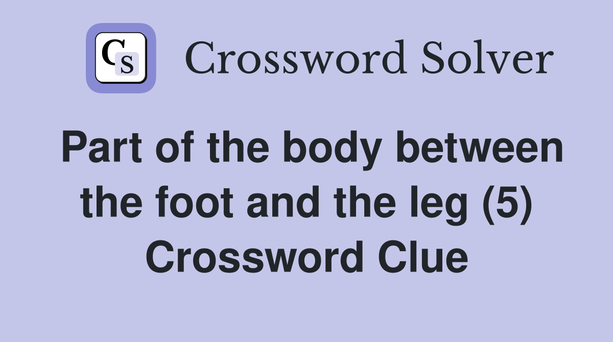 Part of the body between the foot and the leg (5) Crossword Clue