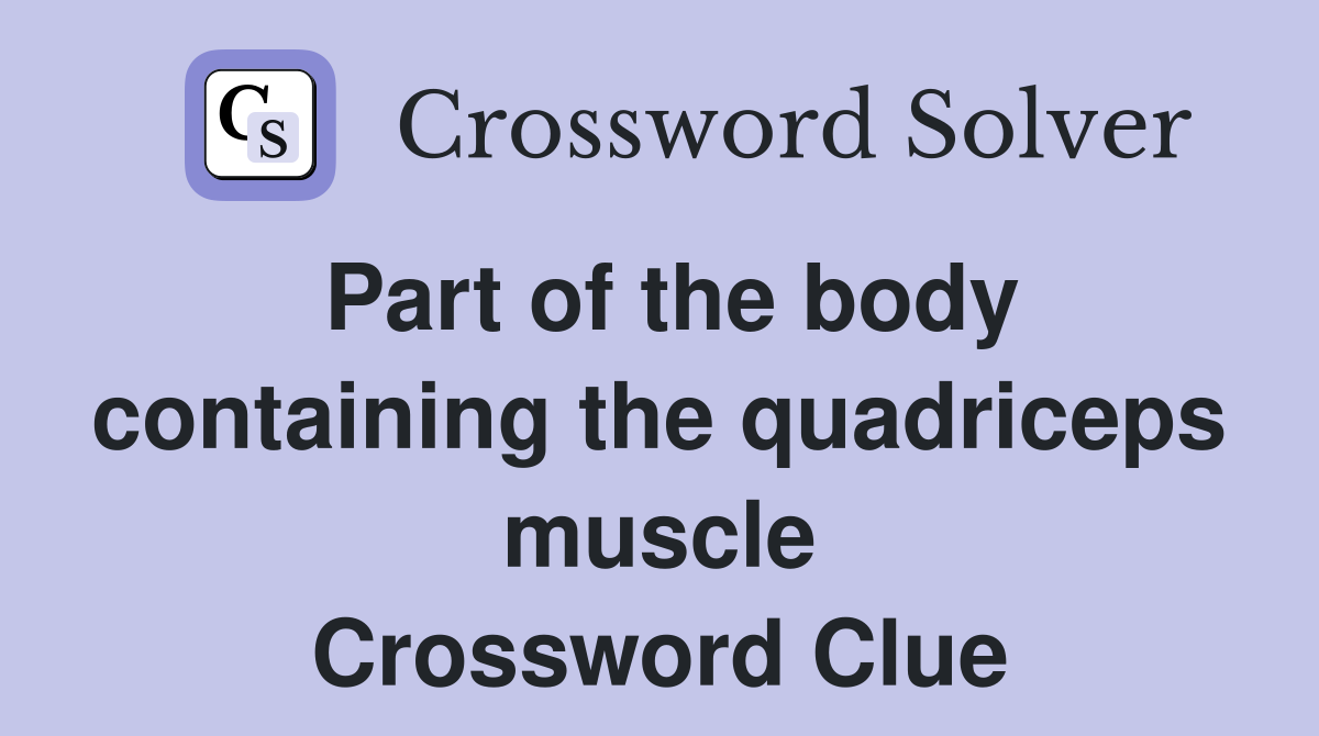 Part of the body containing the quadriceps muscle Crossword Clue