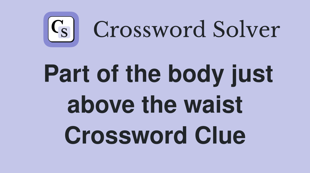 Part of the body just above the waist Crossword Clue