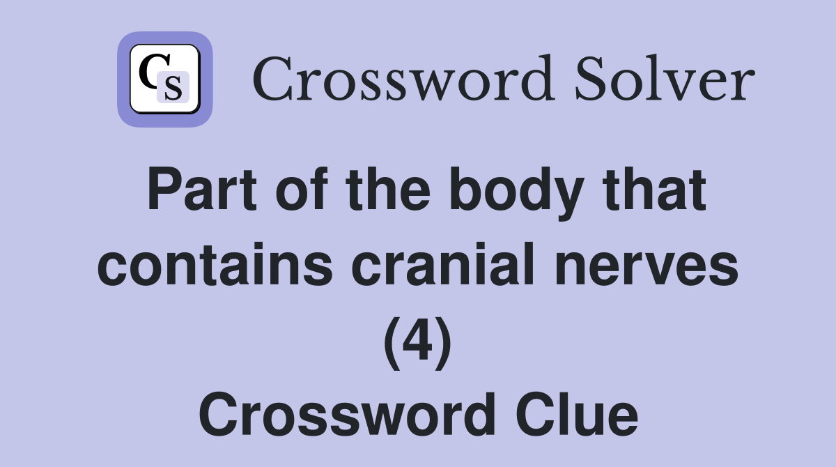 Part of the body that contains cranial nerves (4) Crossword Clue