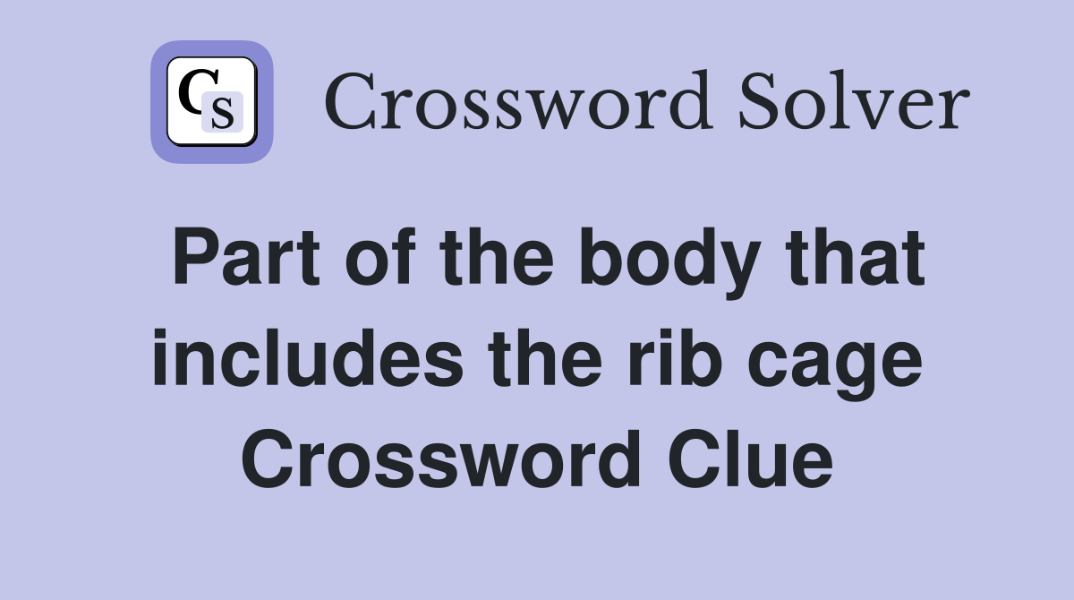Part of the body that includes the rib cage Crossword Clue