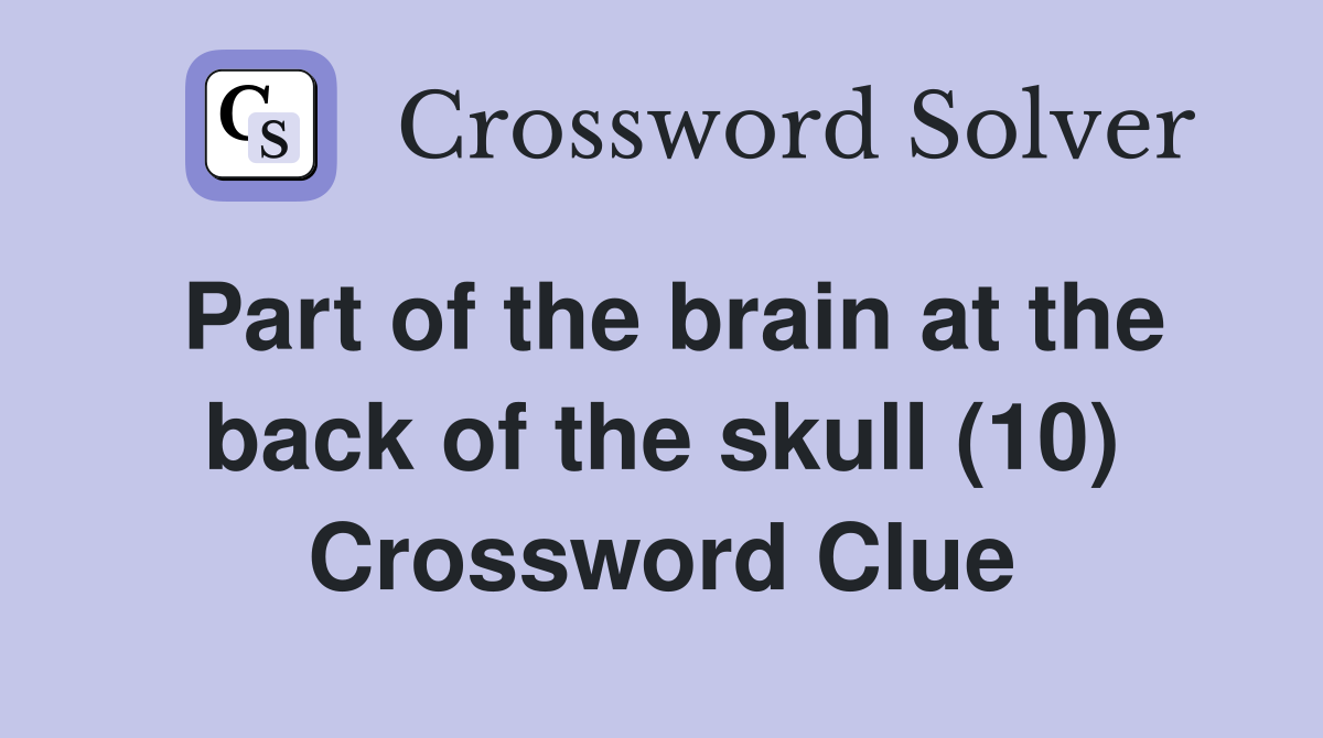 Part of the brain at the back of the skull (10) Crossword Clue