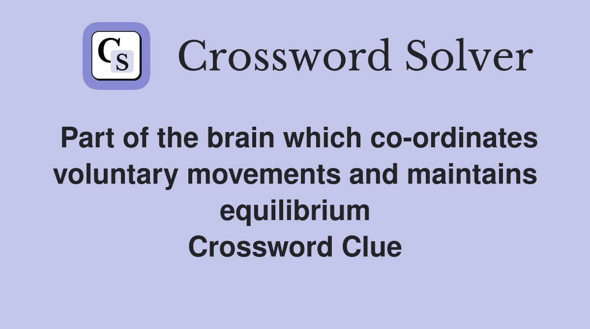 Part of the brain which co-ordinates voluntary movements and maintains equilibrium Crossword Clue