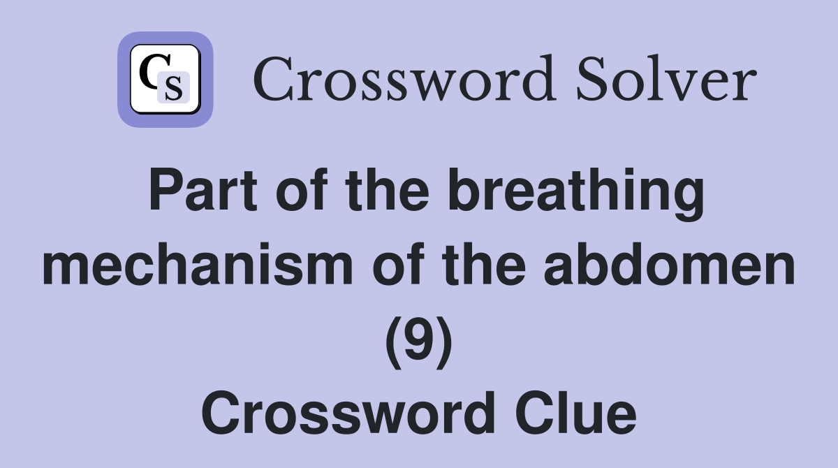 Part of the breathing mechanism of the abdomen (9) Crossword Clue