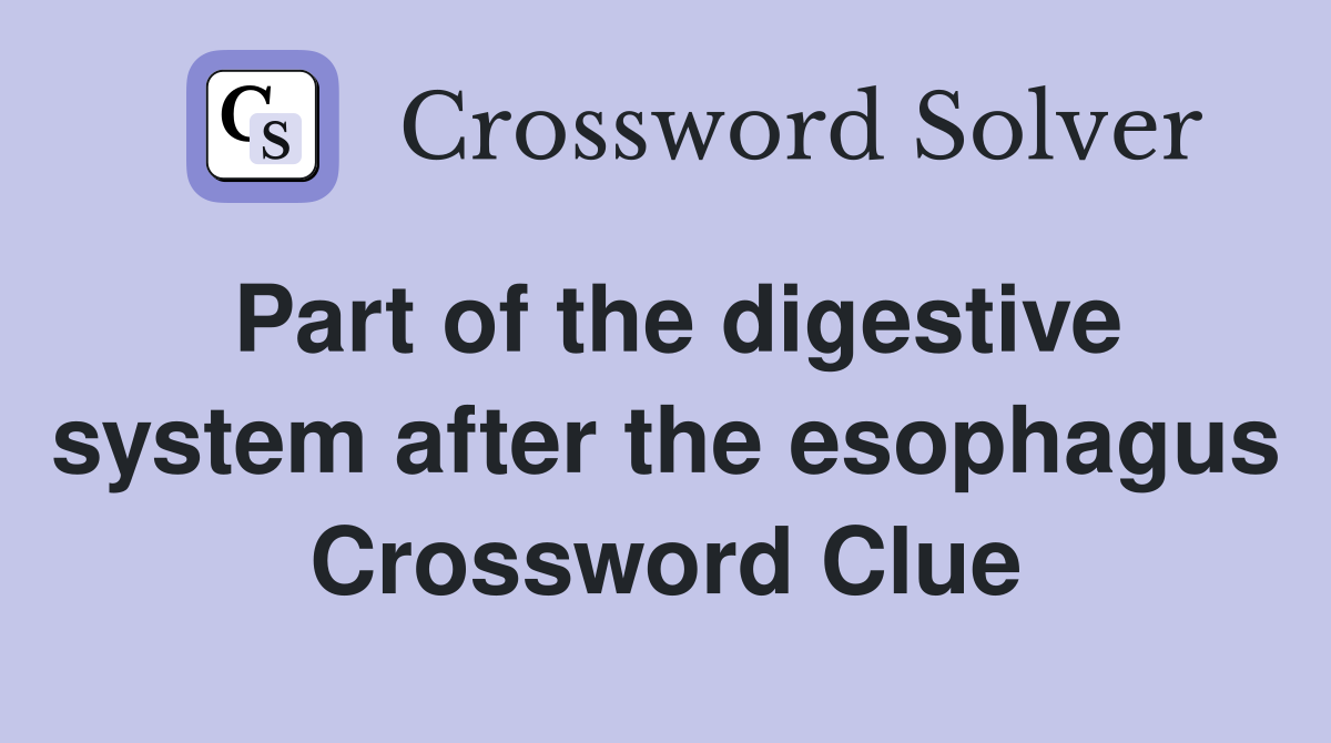 Part of the digestive system after the esophagus Crossword Clue