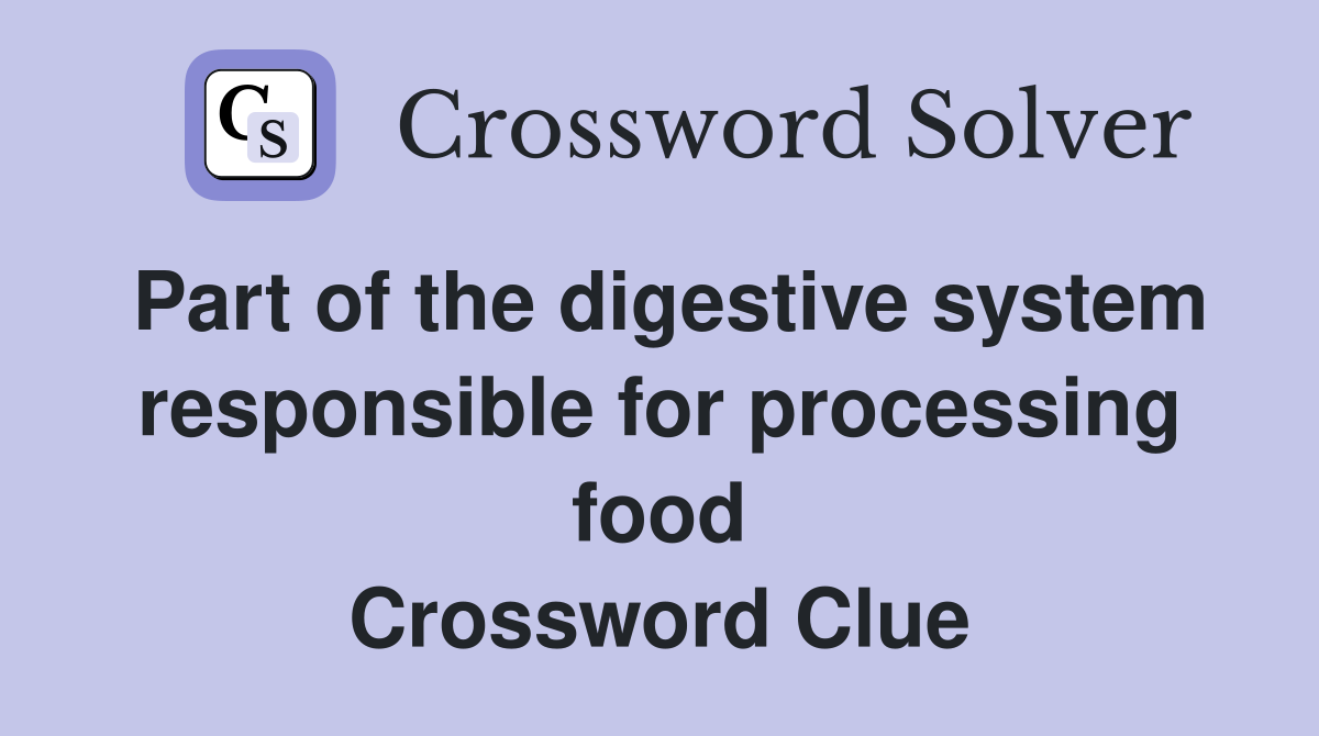 Part of the digestive system responsible for processing food Crossword Clue