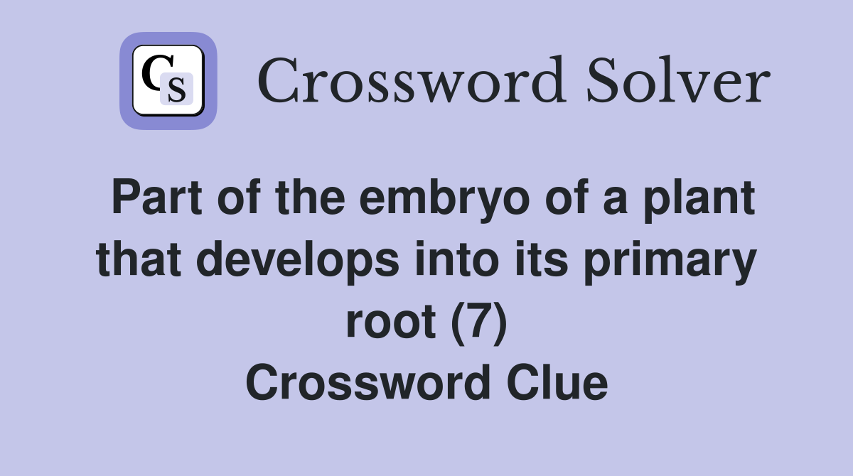 Part of the embryo of a plant that develops into its primary root (7) Crossword Clue