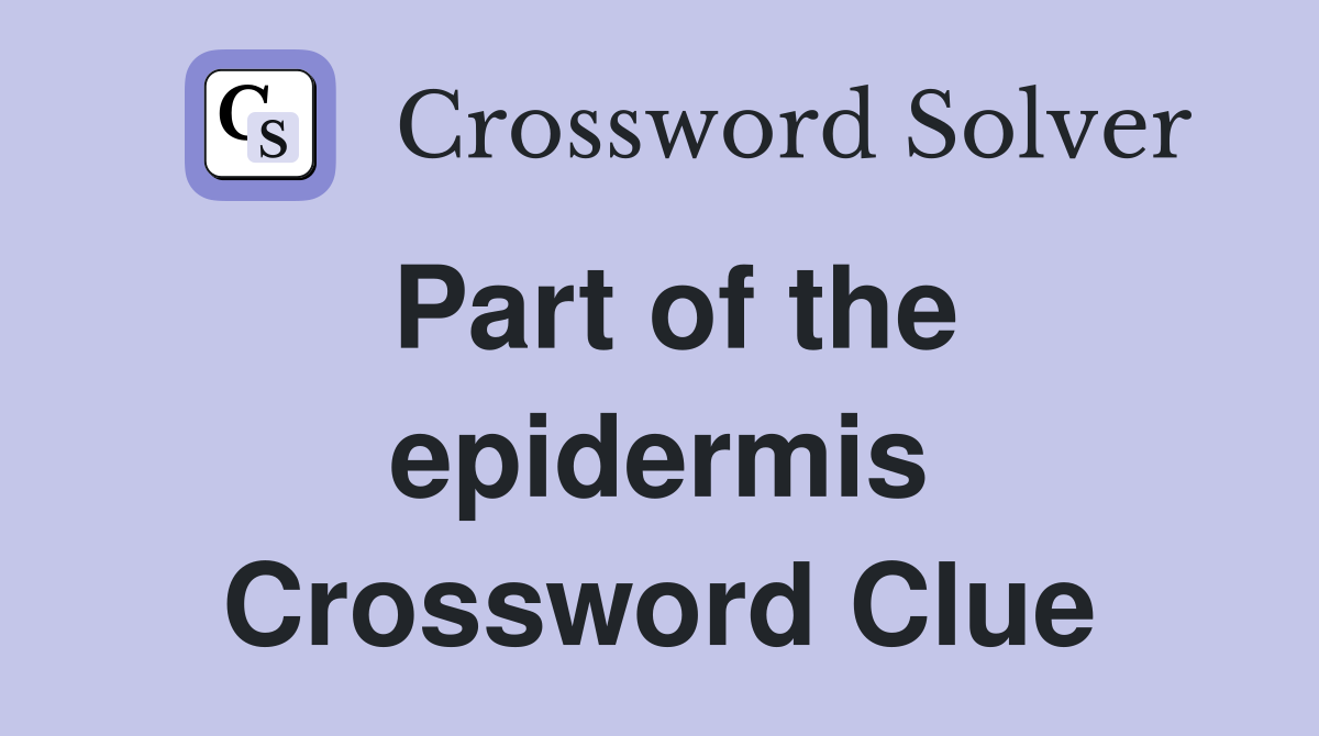 Part of the epidermis Crossword Clue